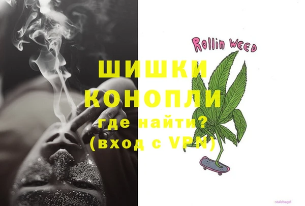 прущие грибы Баксан