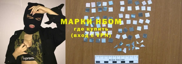 прущие грибы Баксан