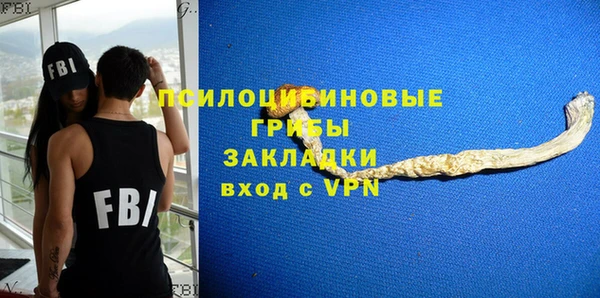 крисы Балахна