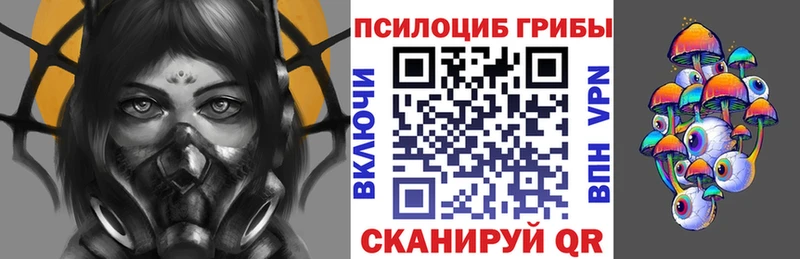 Галлюциногенные грибы Psilocybe  Ульяновск 