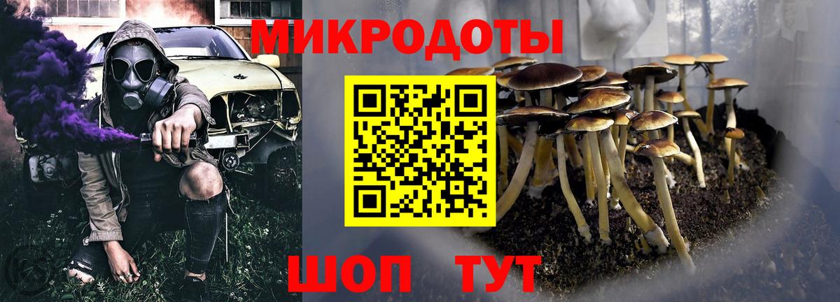 Ульяновск  Псилоцибиновые грибы Cubensis  Псилоцибиновые грибы Psilocybe  купить закладку  Вход с VPN 